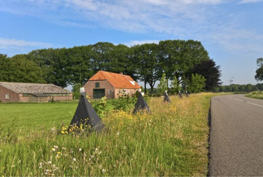 Nestelgelegenheid in wegbermen.png Nestelgelegenheid in wegbermen.png