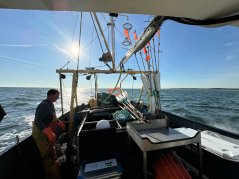 Visser Daniel Zoeteweij op zijn kotter YE152 maakt de tuigen klaar onderweg naar windpark Borssele