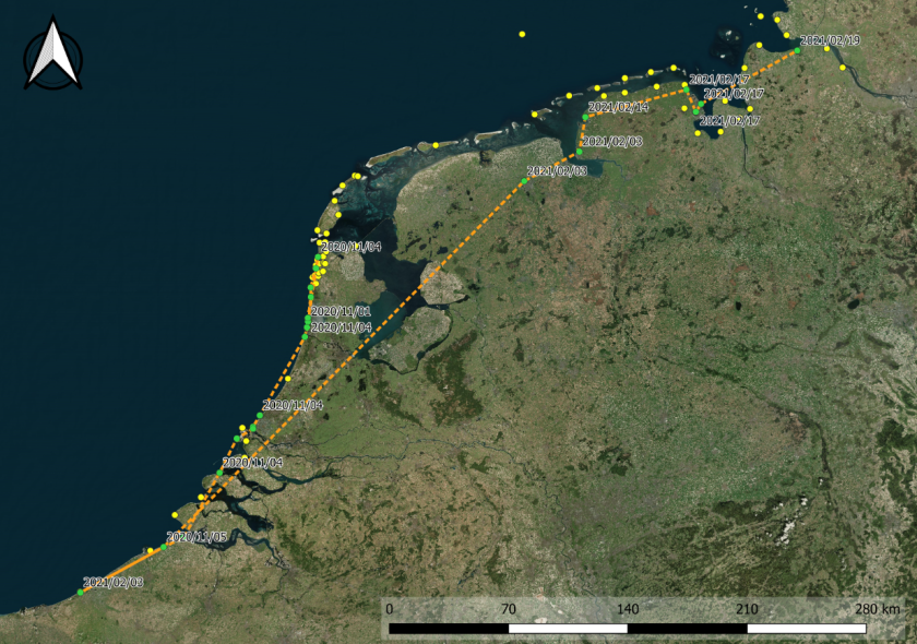 Flightpath of a skylark which flew in the night of 4 November 2020 in just over six hours from the northern part of North Holland to southern Belgium. During the night of 2 February 2021, it began its return journey via Groningen to Emden in north-western Germany. Two weeks later, the journey continued in small steps towards the northeast. Flightpath of a skylark which flew in the night of 4 November 2020 in just over six hours from the northern part of North Holland to southern Belgium. During the night of 2 February 2021, it began its return journey via Groningen to Emden in north-western Germany. Two weeks later, the journey continued in small steps towards the northeast.