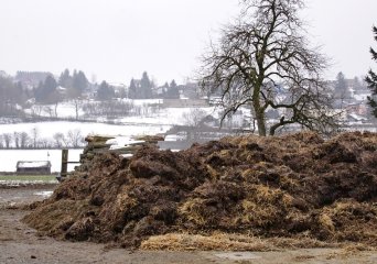 quality test  chemicals in manure & compost 