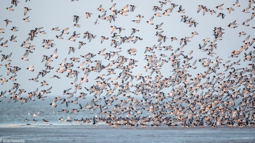 "De potentie van de Noordzee is enorm" "De potentie van de Noordzee is enorm"